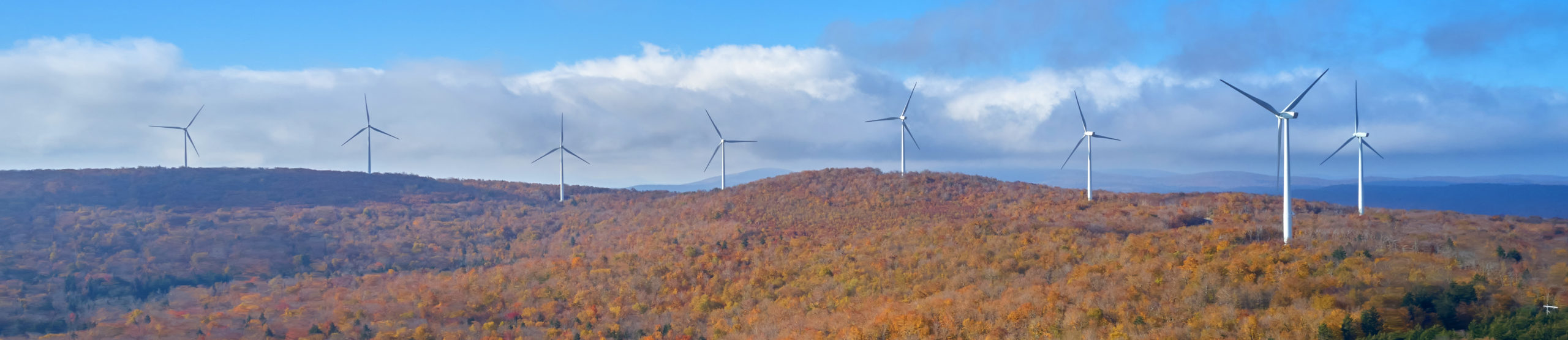 Wind turbine fleet