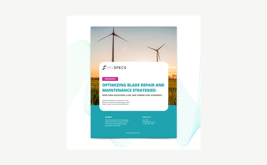 Optimizing Blade Repair and Maintenance Strategies: Wind Farm Valuations, LCOE, and Turbine Level Economics