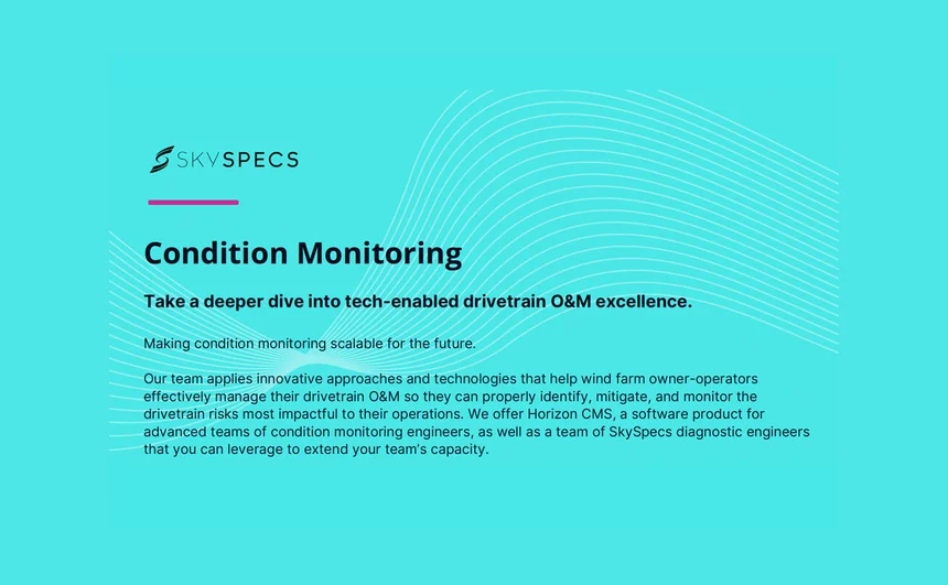 CMS Services and Software