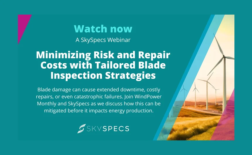 Minimizing Risk and Repair Costs with Tailored Blade Inspection Strategies